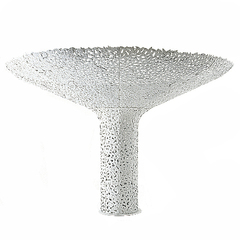 L\'Albero,Andrea Salvetti
