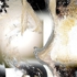 L_oiseau_de_feu_ii___2009-90_x_90_cm