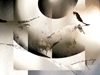 Ombres_chinoises____2007_c