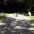 Floating_bottles_websize