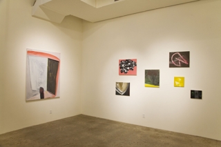 Wet Paint: Ten Young LA Painters,Installation view