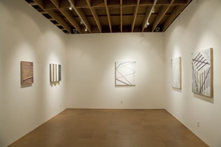 Wet Paint: Ten Young LA Painters,Installation view