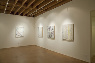 Wet Paint: Ten Young LA Painters,Installation view