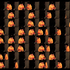 Celeste_catalog