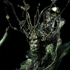Vampoonga_