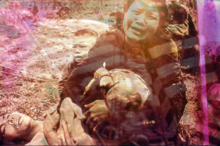 Viet-Flakes (film still),Carolee Schneemann