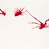 2_image