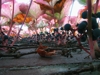 Untitled_forest_no1
