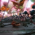 Untitled_forest_no1