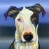 Linus