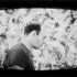 Pollock_video1