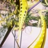 Web600medusa