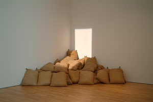 Flanagansacks