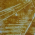 Tracks_3