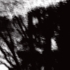 Tree_abstract_b_w