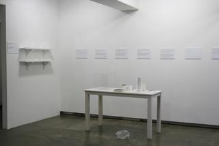 "Pet Bag Instruction" ,Sojung Kwon