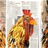 Rooster_postcards_sm