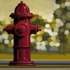 Nelson-water_supply