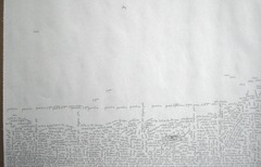 Scripted_landscape_leora_lutz_2009
