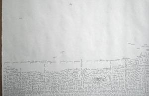 Scripted_landscape_leora_lutz_2009