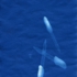 Ctdrop4