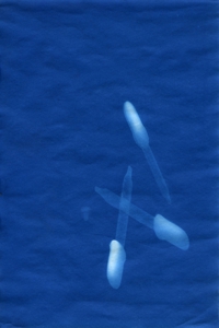 Ctdrop4