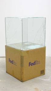 Fedex_cb_nomasm