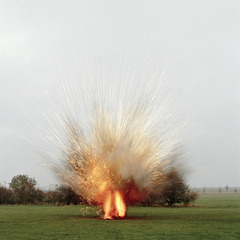 Landmine,Sarah Pickering