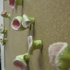 011