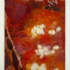 Dscf3572_1