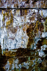 20090628-_mg_0855