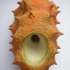 Ibo__fish_eye_view_of_wall_form_