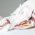 5__decapitated_head_as_relic__plaster__paint__wire__faux_fur__coyote_pelt__wood__2008