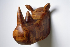 Rhinoceros_72