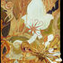 Spineflower-3