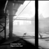 Dog_in_coke_dust__cr