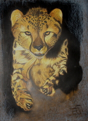 Art__one_133