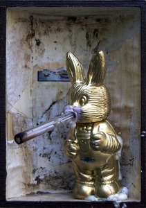 Goldencrackhead