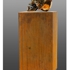 Rusted_brain_1