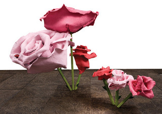 Rose 5 and 13,
