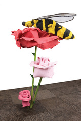 Rose 38,