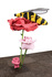 Ryman_rose_38_side_view_