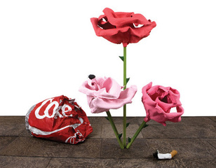 Rose 30,