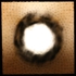 Img_4045_light_1-dark