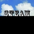 Steammiamicard