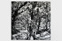 Chronister_james_3