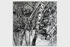 Chronister_james_5
