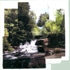 Alseafalls2web