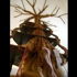 13rapunzel_4