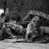 Guarding_the_sleeper